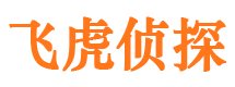 通山市私人调查